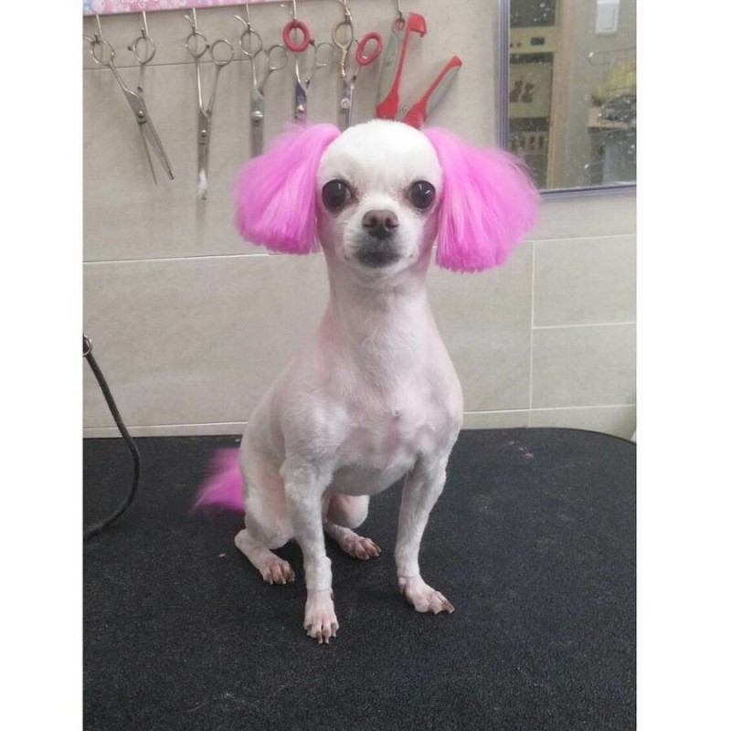 de286b8739b469a078a6f8784436d8c5_1681255721_621.png