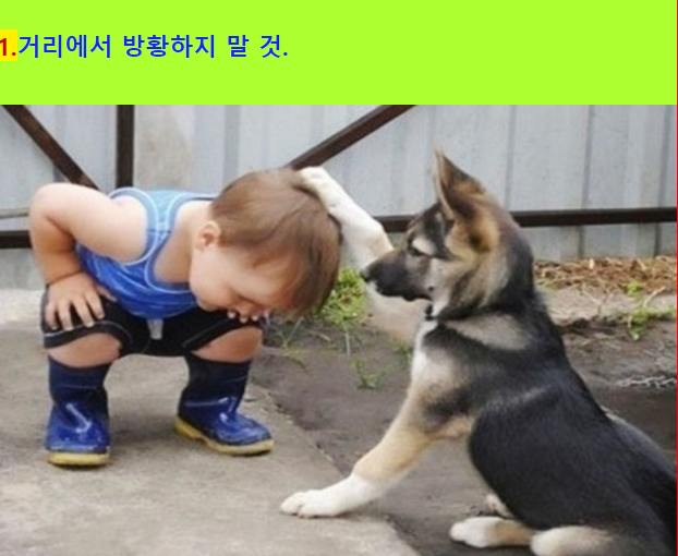 07d0beda8cd4910f71b60aeea12cb5a5_1689028226_9929.png