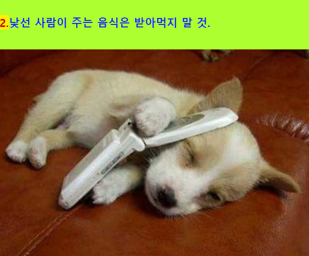 07d0beda8cd4910f71b60aeea12cb5a5_1689028234_7021.png