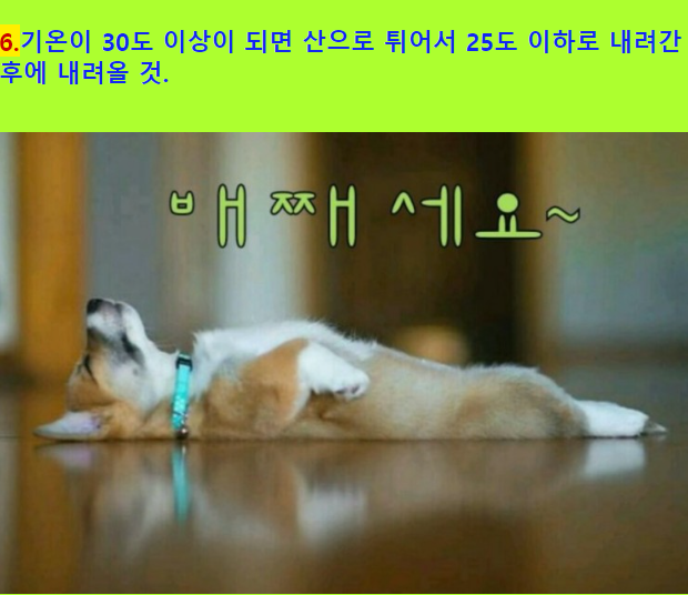 07d0beda8cd4910f71b60aeea12cb5a5_1689028260_5532.png