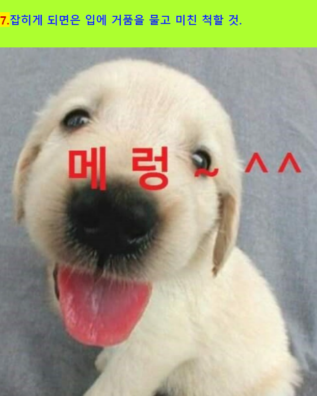 07d0beda8cd4910f71b60aeea12cb5a5_1689028267_66.png