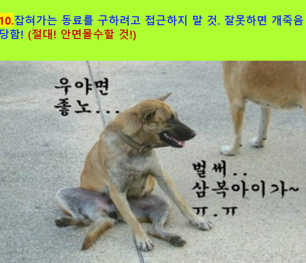 07d0beda8cd4910f71b60aeea12cb5a5_1689028288_4017.png