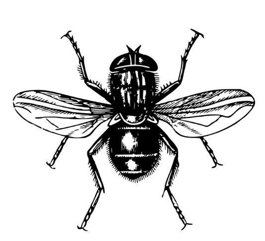 0a92e40c59d52becaef915384a4276a9_1691458895_0803.png